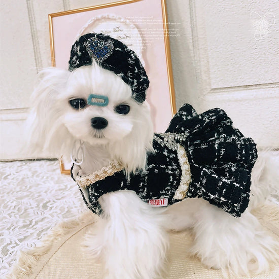 Luxury Pet Clothing
