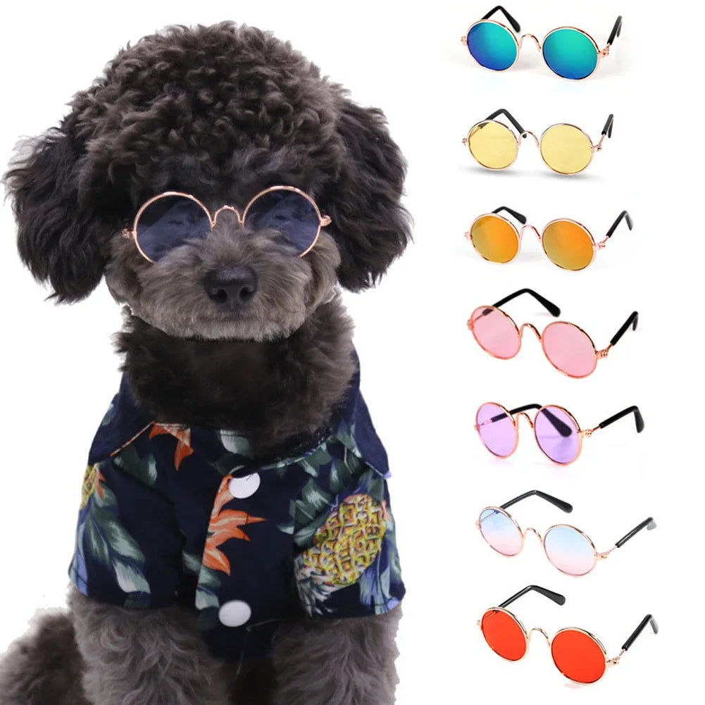 Pet Accessories Cat Glasses