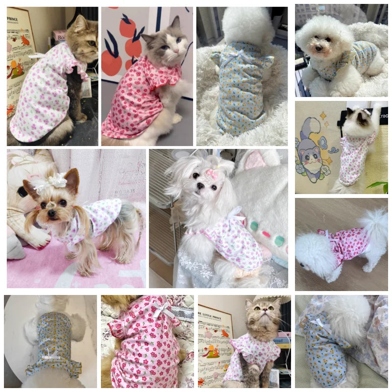 Small puppy, dog, cat vest