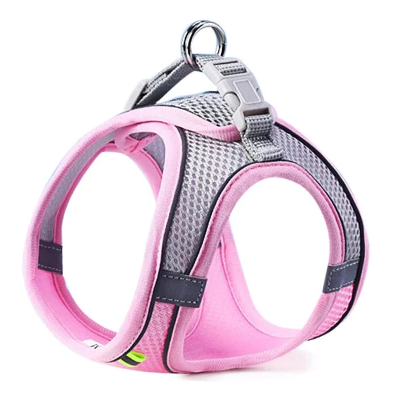 Cat Dog Harness Vest Chest Rope Set