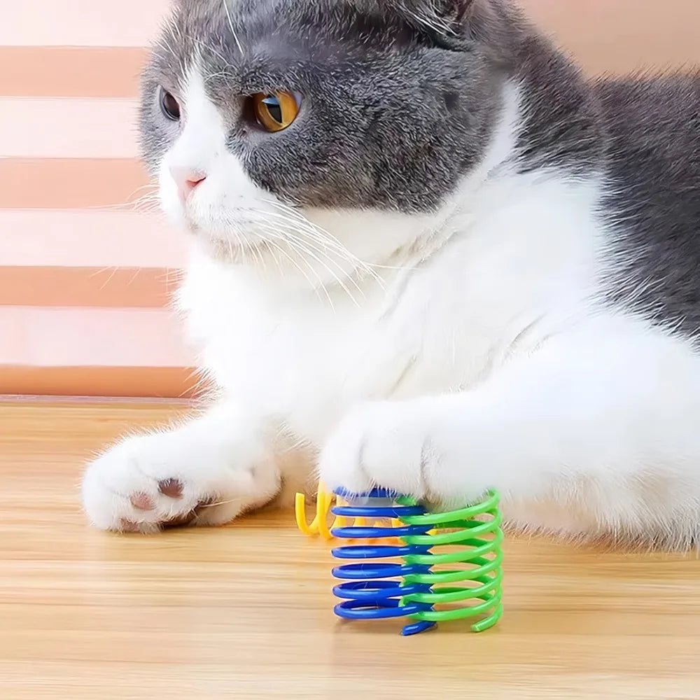 Cat Spring Toy