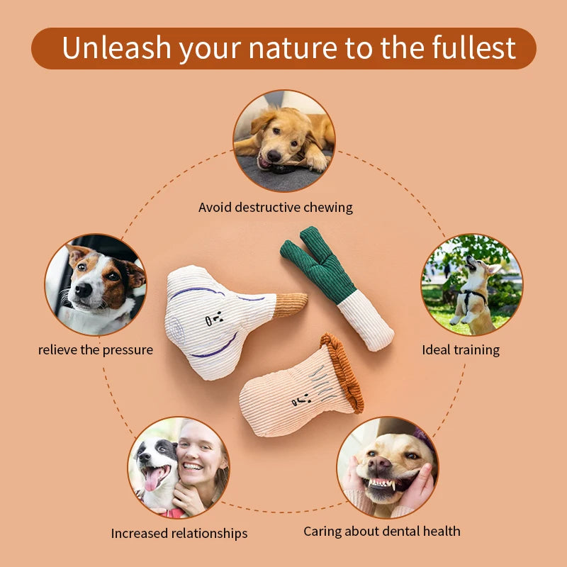 Dog Plush Noise Chewing Toy