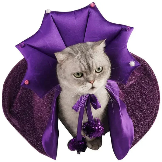 Cat Halloween wizard Costume