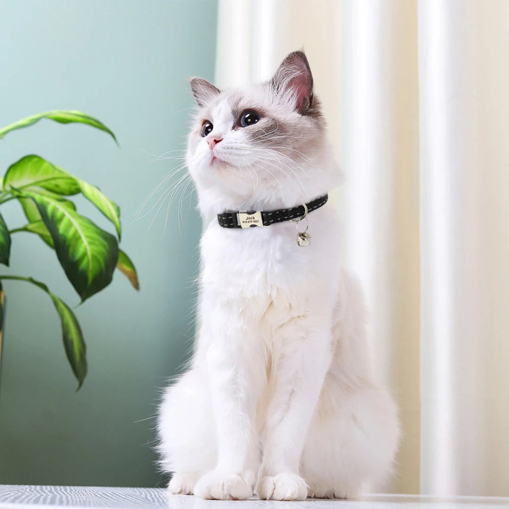 Custom Cat Collar Nylon Puppy Kitten Collars