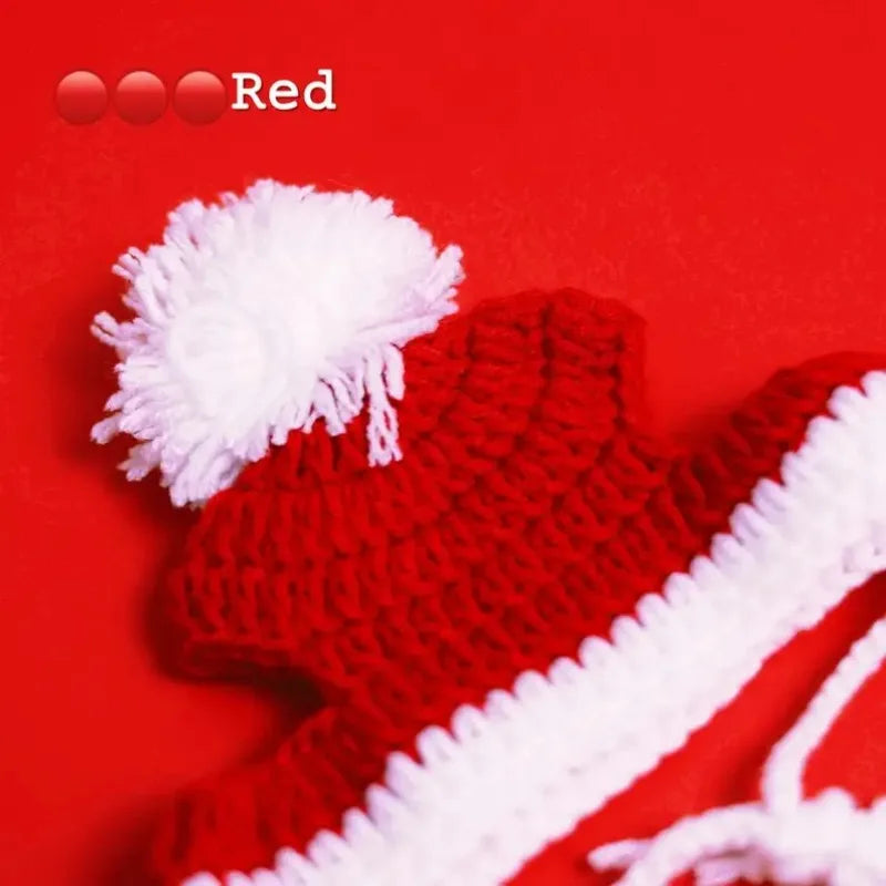 Pet Christmas hats