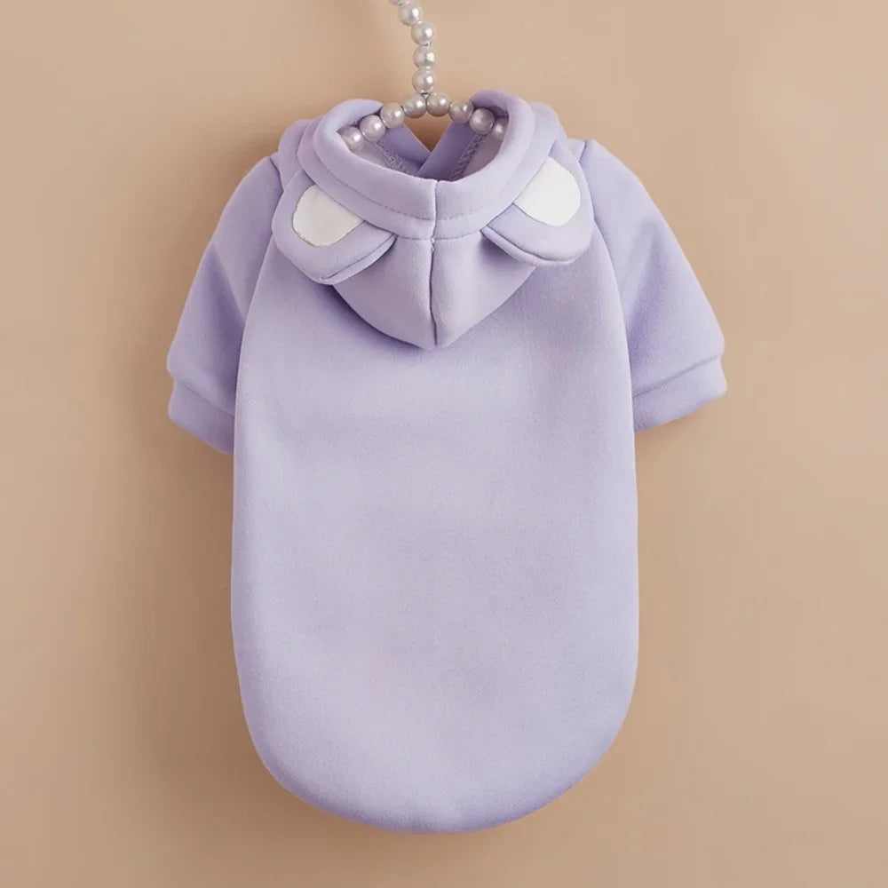 Cute Hairless Cat Clothes