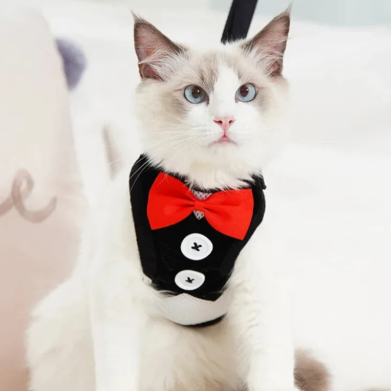 Elegant Bowtie Dog Harness Vest with Leash