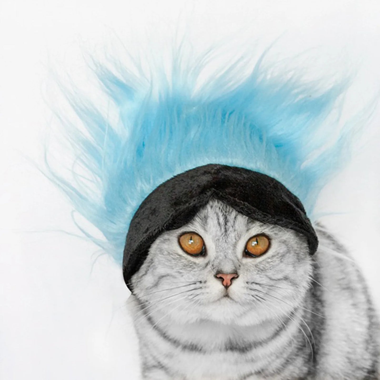 New Cool Pet Wigs