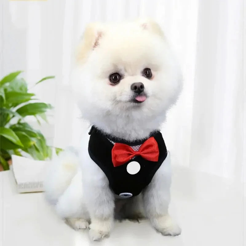Elegant Bowtie Dog Harness Vest with Leash
