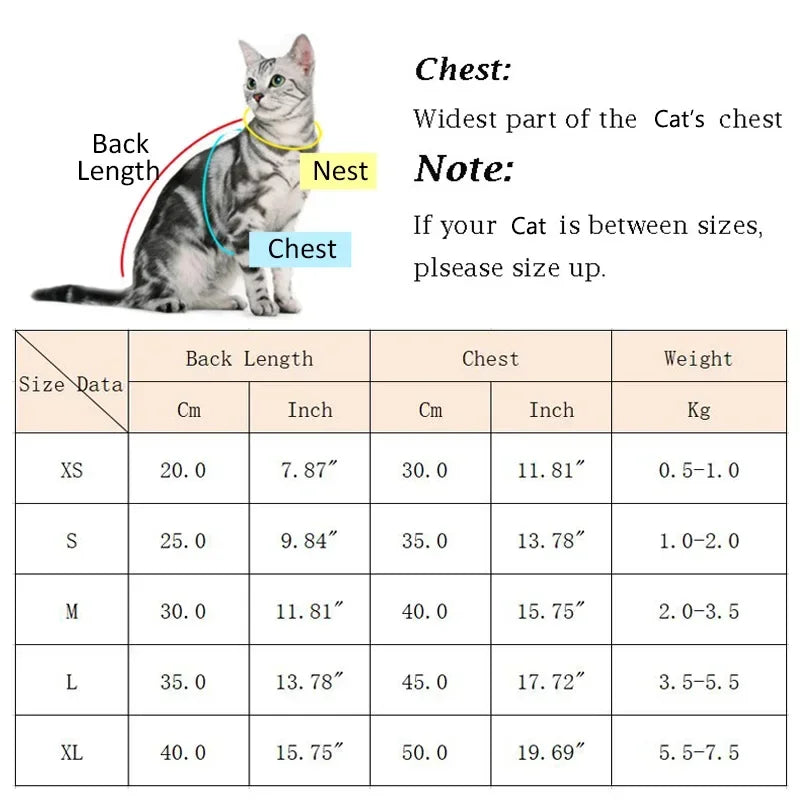 Cute Hairless Cat Clothes