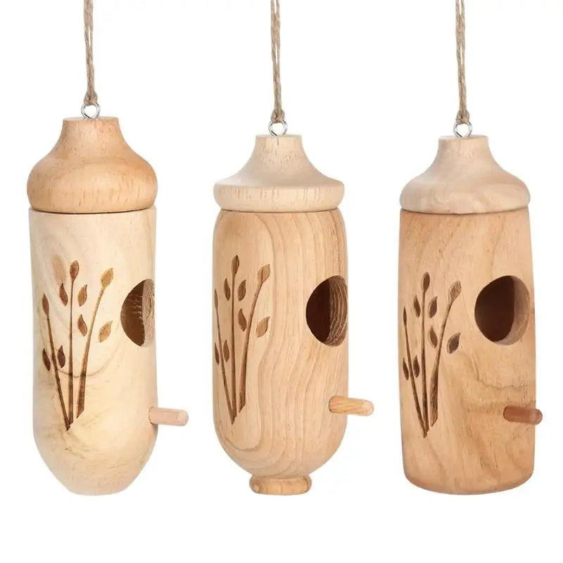 Wood  Hummingbird Breeding Nest