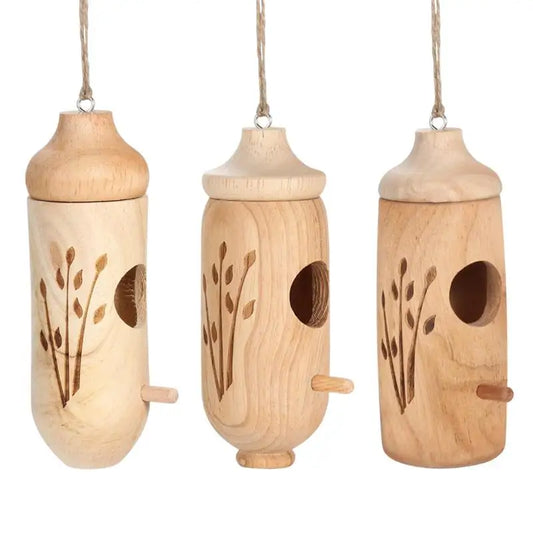 Wood  Hummingbird Breeding Nest