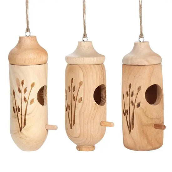 Wood  Hummingbird Breeding Nest