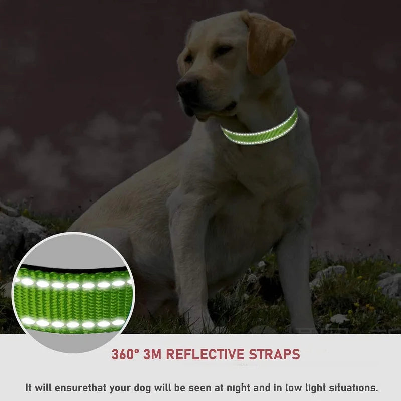 Choke Dog Collar