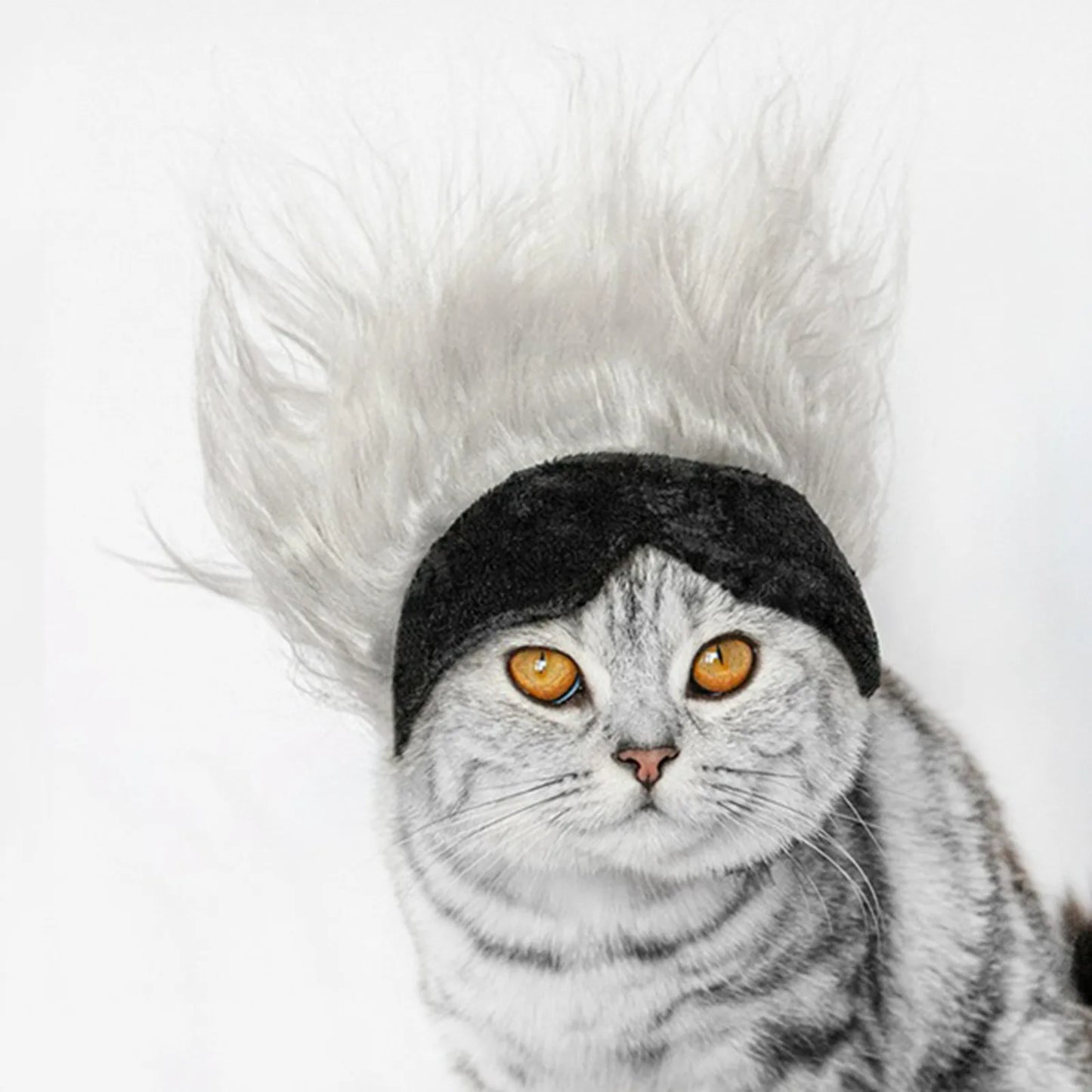 New Cool Pet Wigs