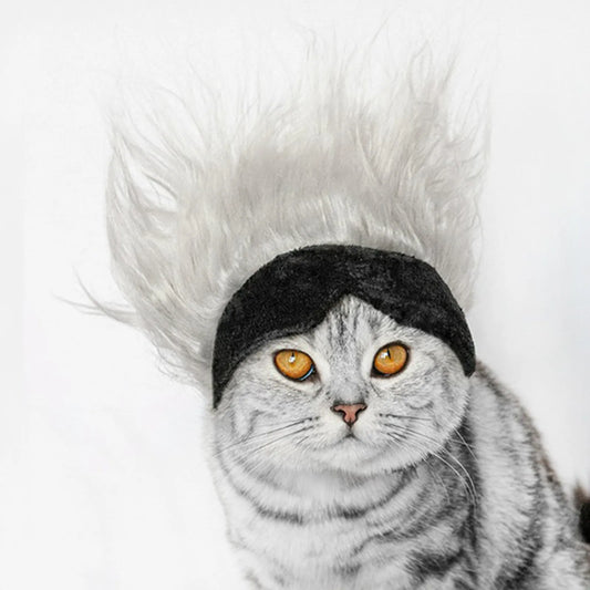 New Cool Pet Wigs