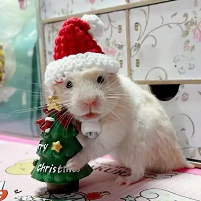 Hamster Christmas Costume