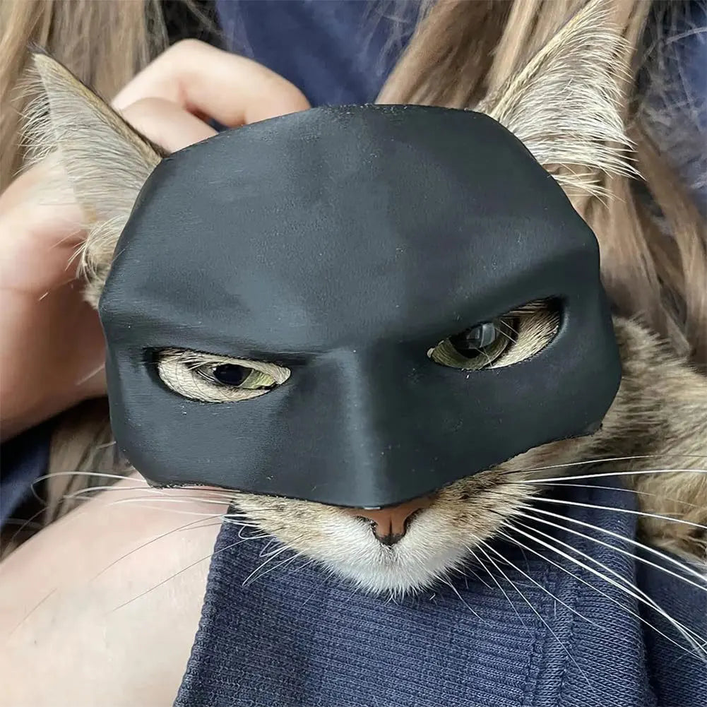 Cat Bat Cool Man Mask