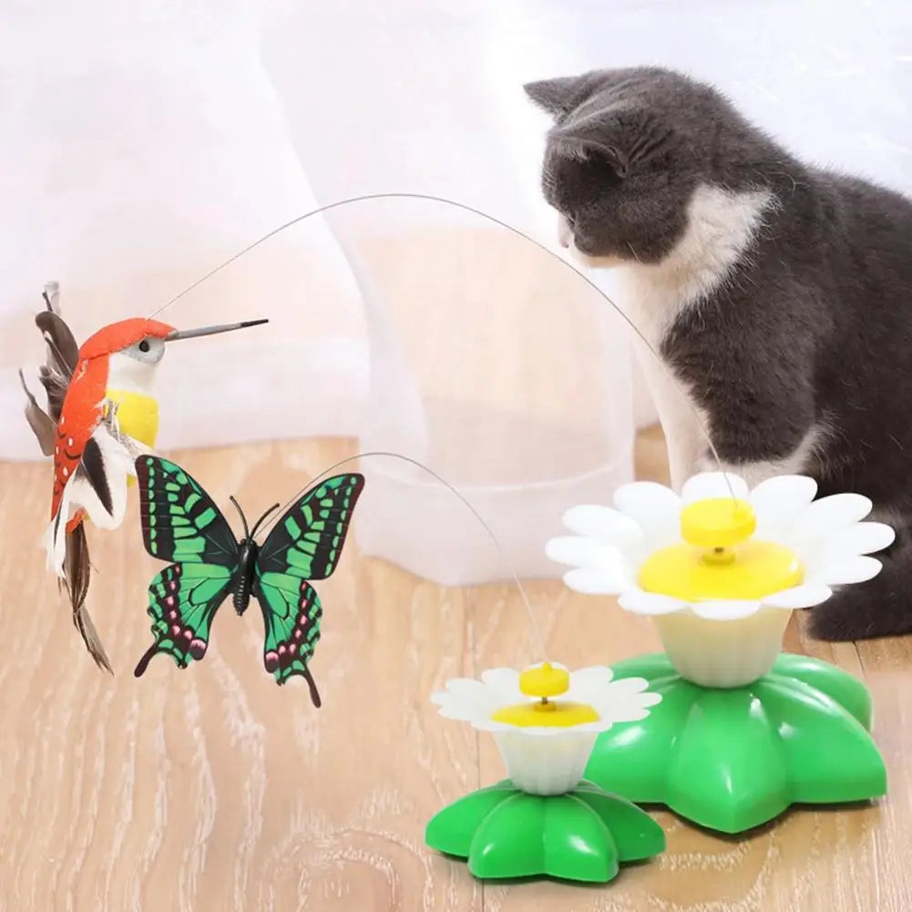 Electric Butterfly or Humming Bird Cat Toy