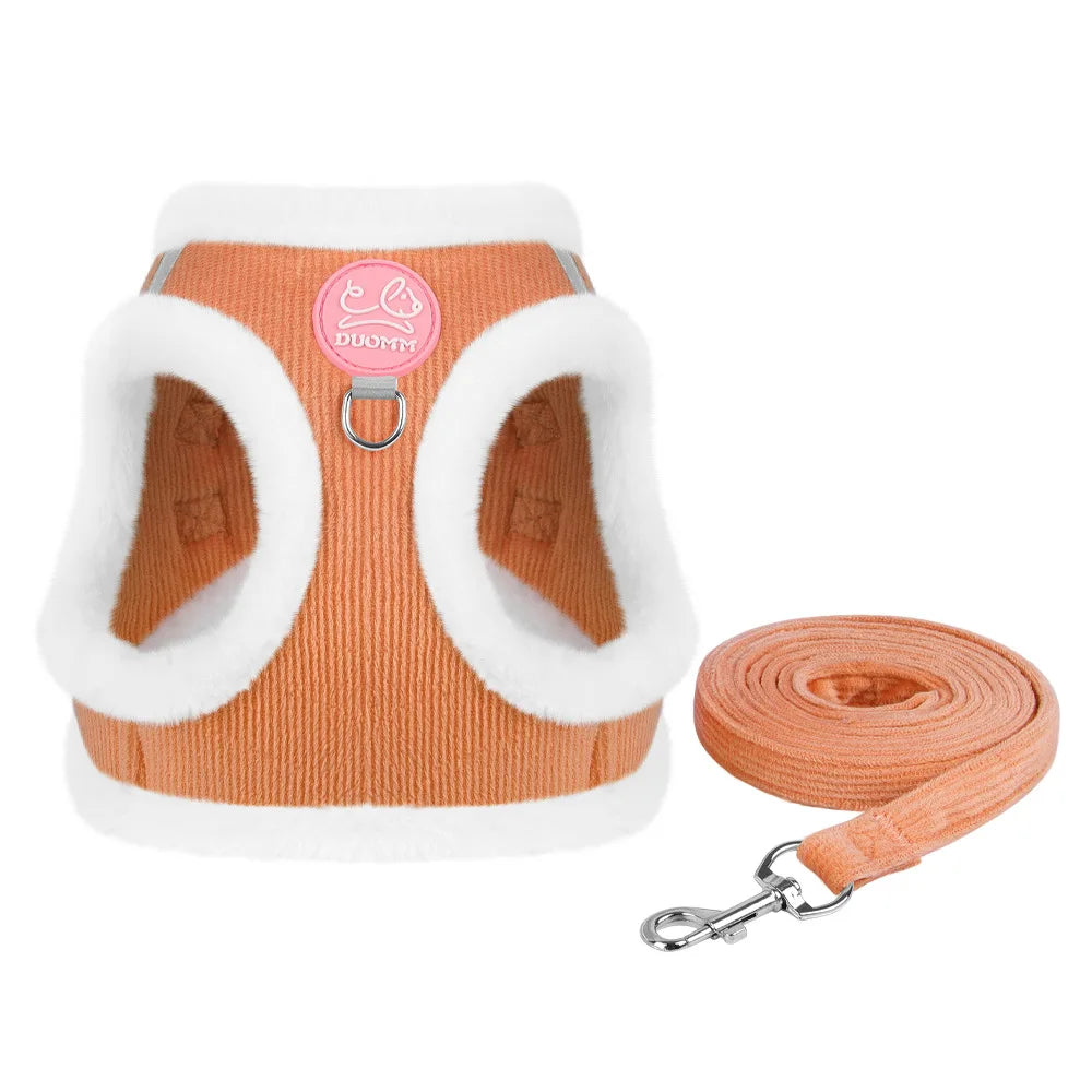 Cat Winter Small Dog Harness Leash