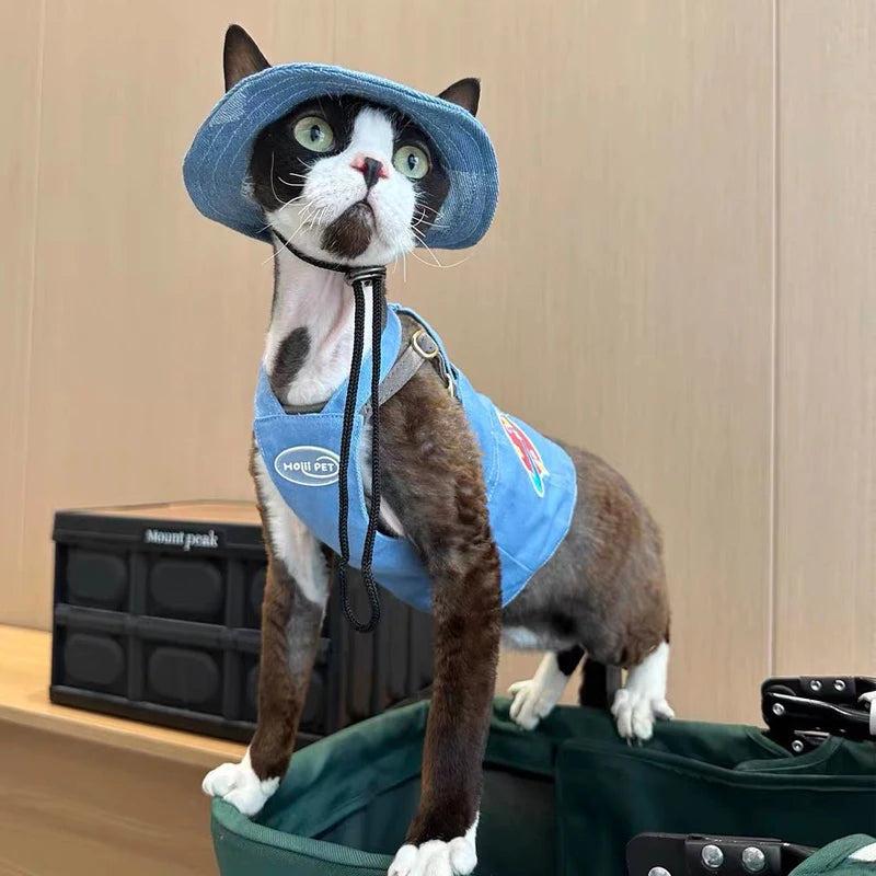 Fashion Cat hat Summer Sun Hats for Sphynx Kittens Open Ears Blue Cowboy Hats Adjustable Cap Cord for Devon Rex Cat Supplies