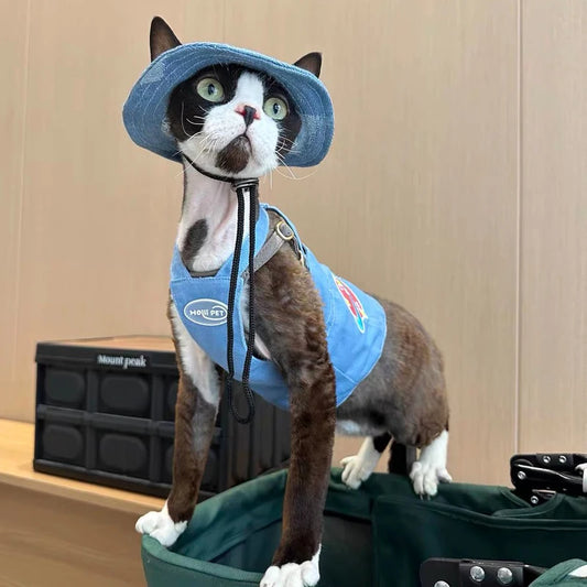 Fashion Cat hat Summer Sun Hats for Sphynx Kittens Open Ears Blue Cowboy Hats Adjustable Cap Cord for Devon Rex Cat Supplies