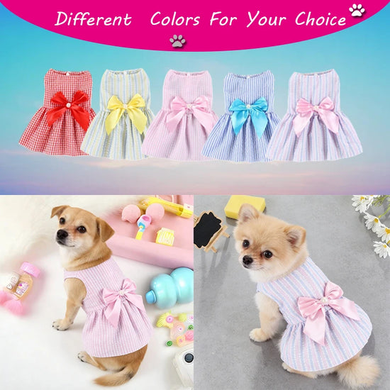 2pc Bow-Knot Skirt For Pets