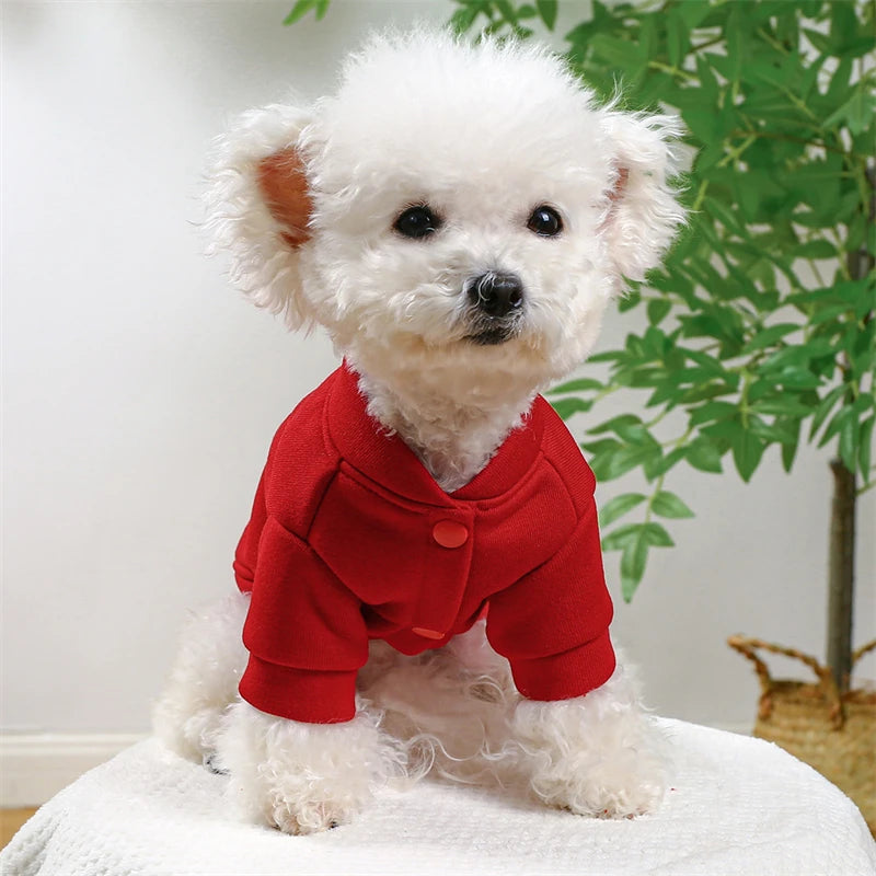 Personalized Letter Print Pet Dog Clothes