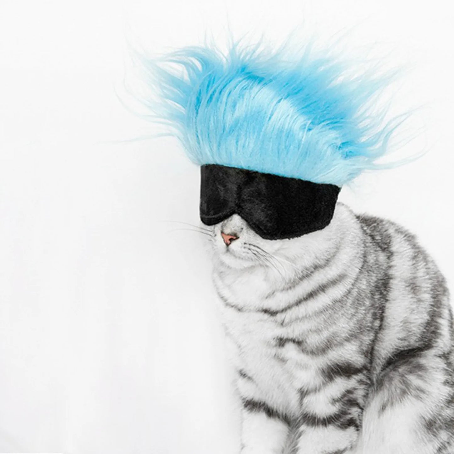 New Cool Pet Wigs