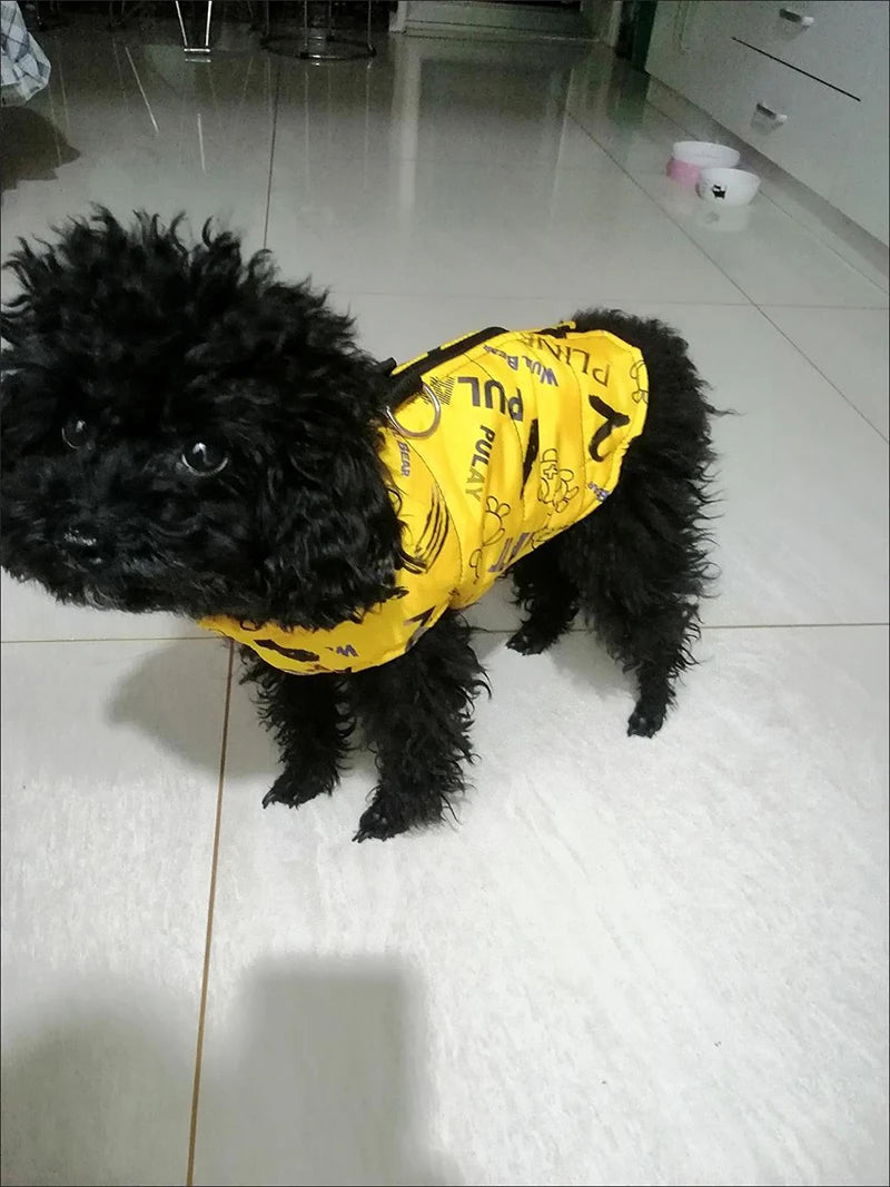 Fashion Big Dog Waterproof Jacket