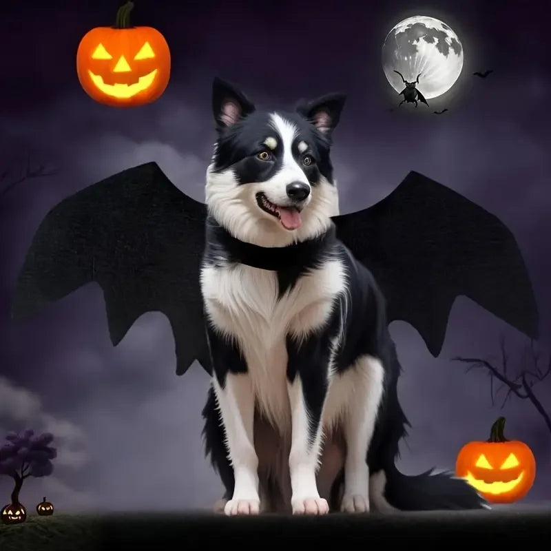 Halloween Pet Bat Wings Felt Costume