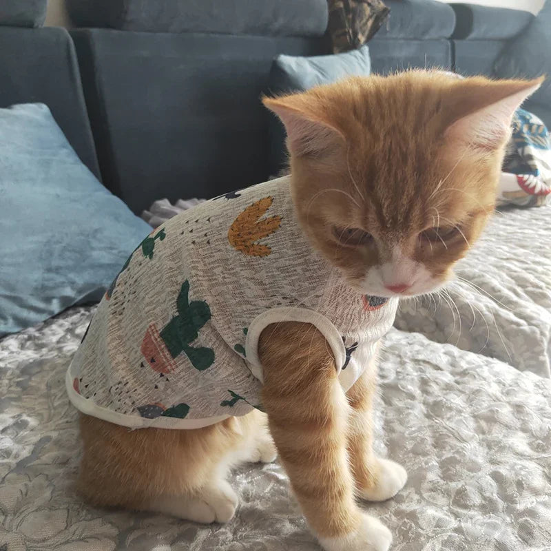 Sunscreen Clothes for Cats Summer