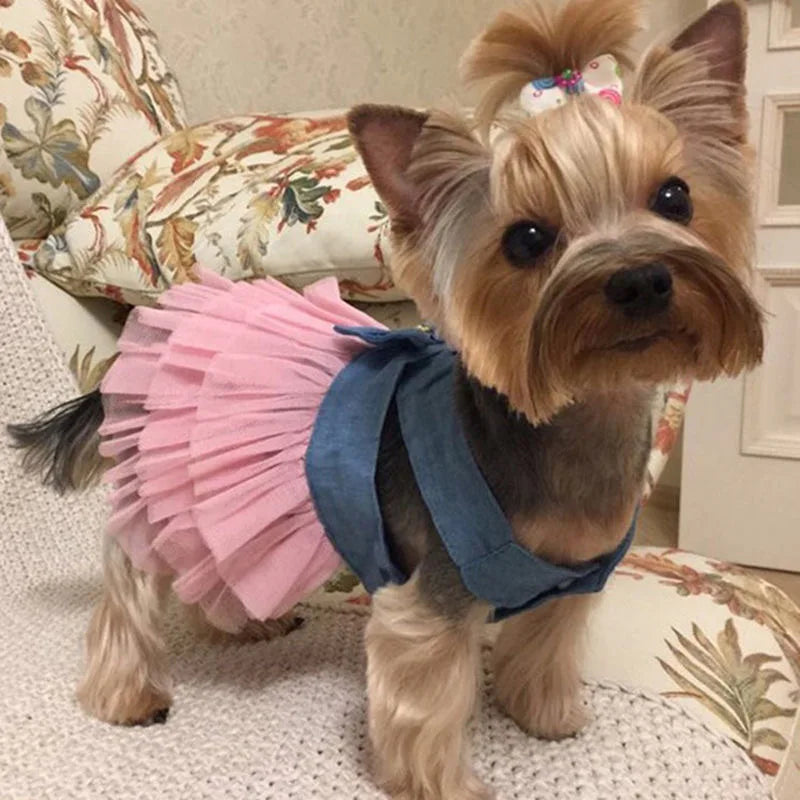 Denim Sphynx Cat Princess Dress