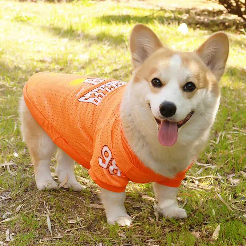 Summer Pet Dog Cooling Vest