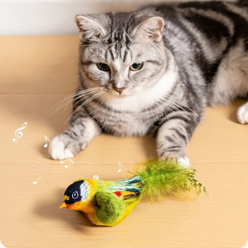 Indoor Interactive Birds Toy for Cat