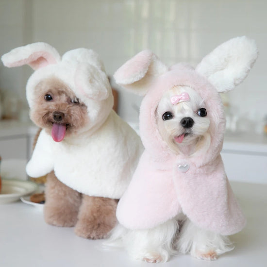Warm Winter Pet Plush Outside Cloak