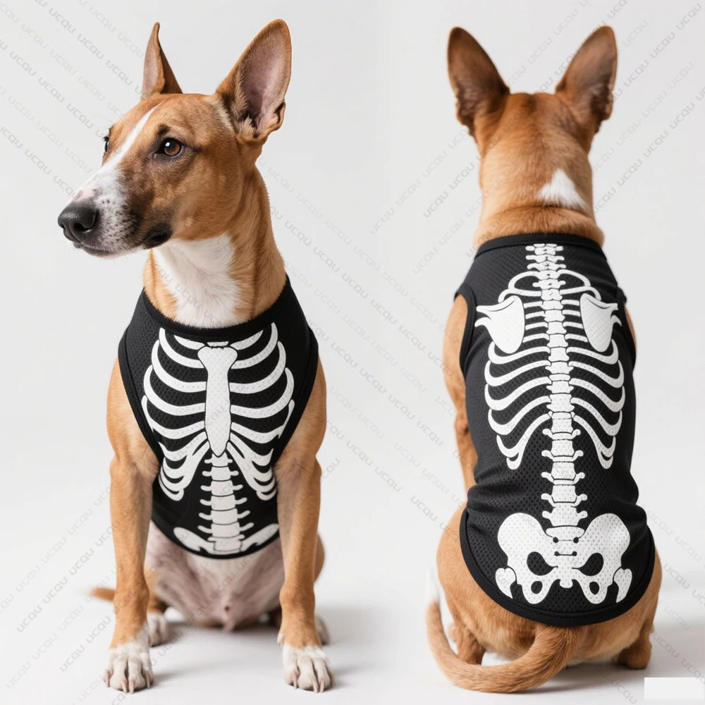 Pet Dog Vest Skeletal Perspective