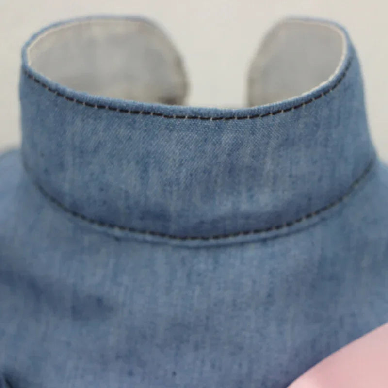 Denim Sphynx Cat Princess Dress