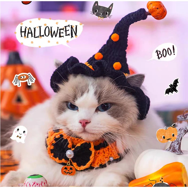Halloween Dog & Cat Collar