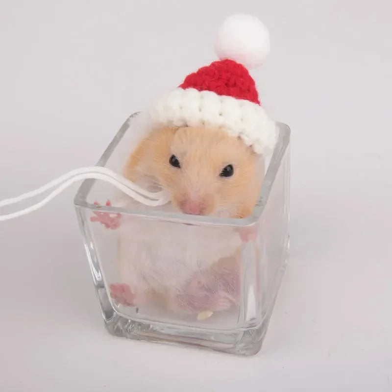 Hamster Christmas Costume