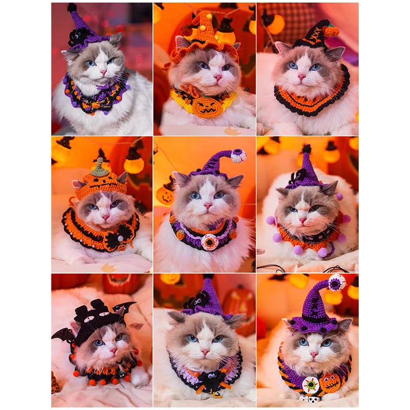 Halloween Dog & Cat Collar