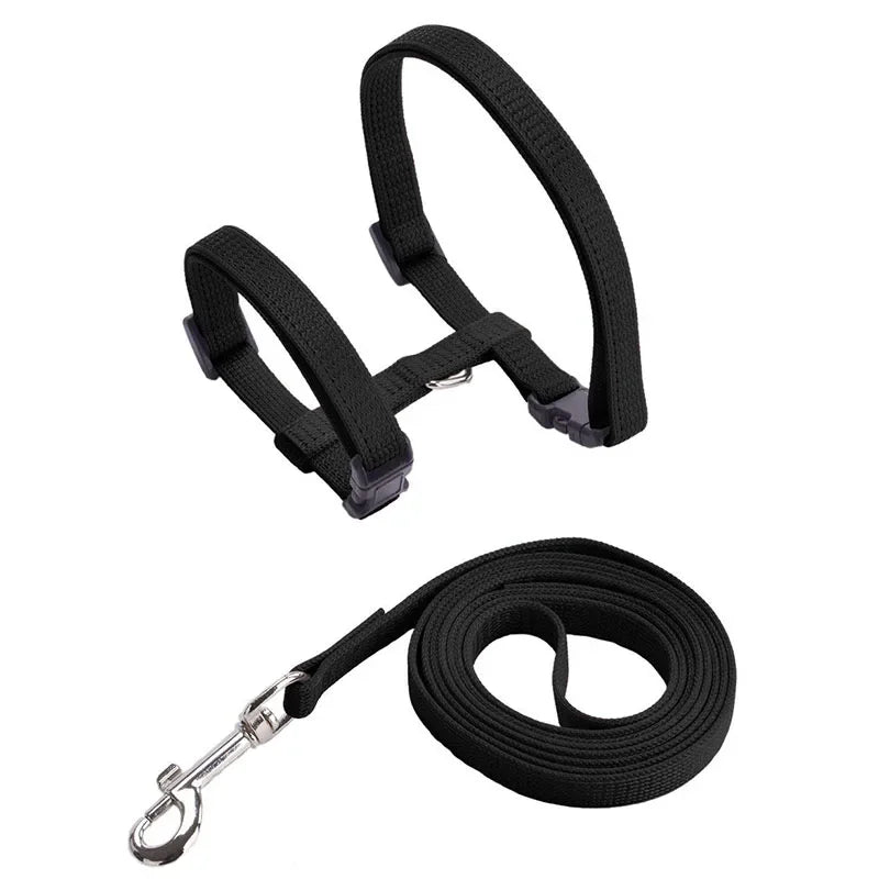 Escape-proof Small Dog Cat Harness Collar