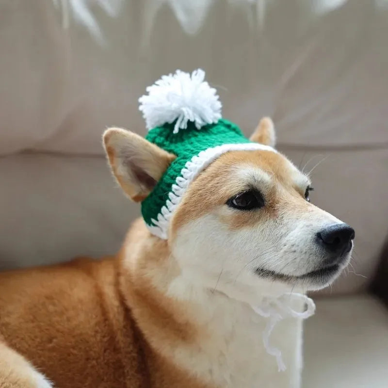 Pet Christmas hats