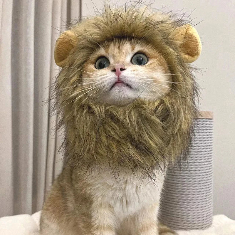 Cat Cosplay Dress Up Pet Hat Lion Mane