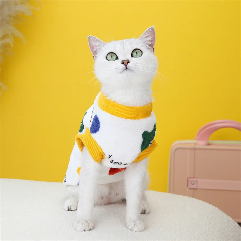 Korean Style Sphynx Cat Sweater with Buckle
