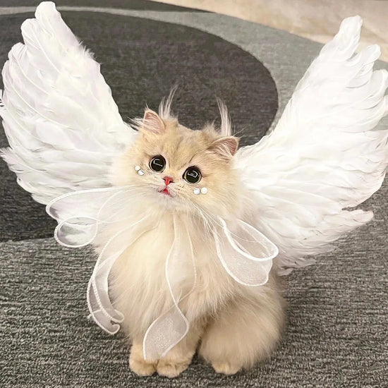 Pet Cat Wing Accessories