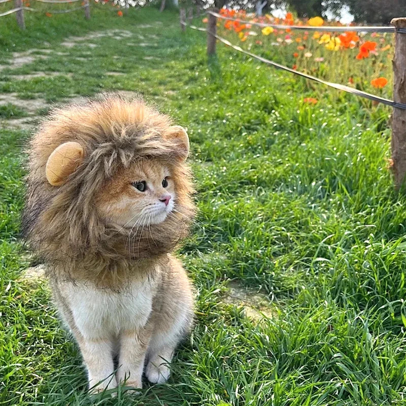 Cat Cosplay Dress Up Pet Hat Lion Mane