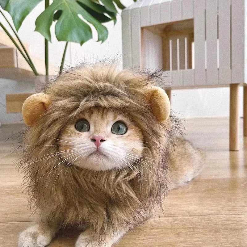 Cat Cosplay Dress Up Pet Hat Lion Mane