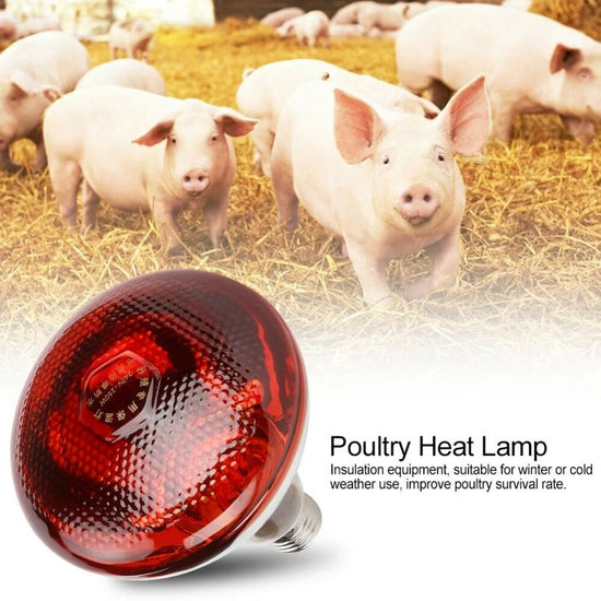 Breeding Heating Lamp E27 220V 100-275 Watts Infra Red Heat Lamp