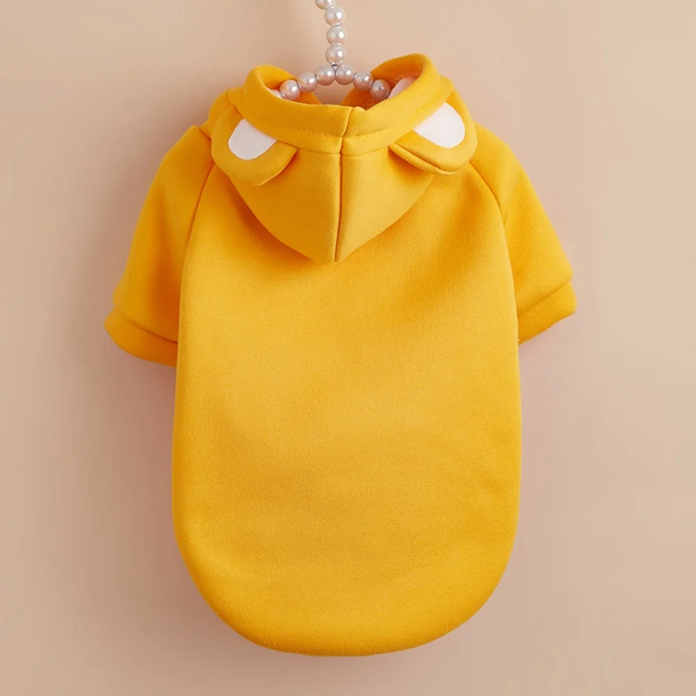 Cute Hairless Cat Clothes